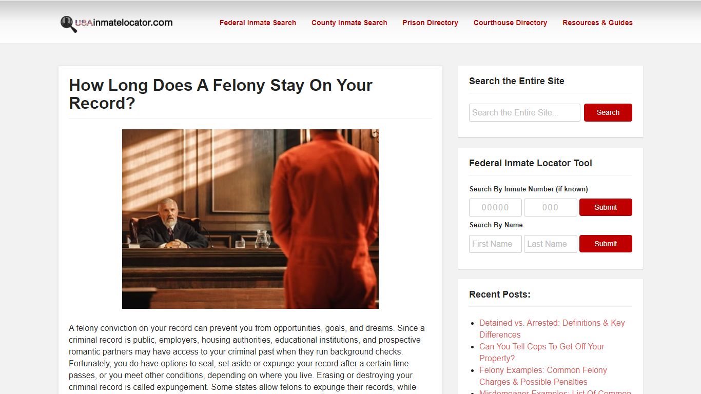 How Long Does A Felony Stay On Your Record? | Complete Guide